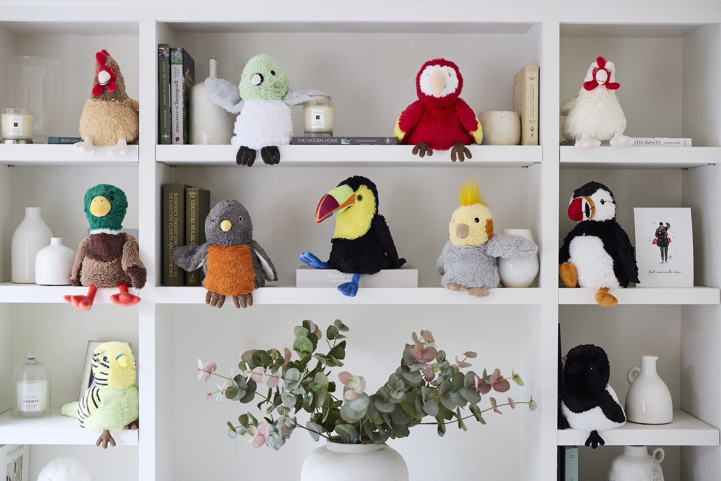 Brilliant Birds - Wholesale