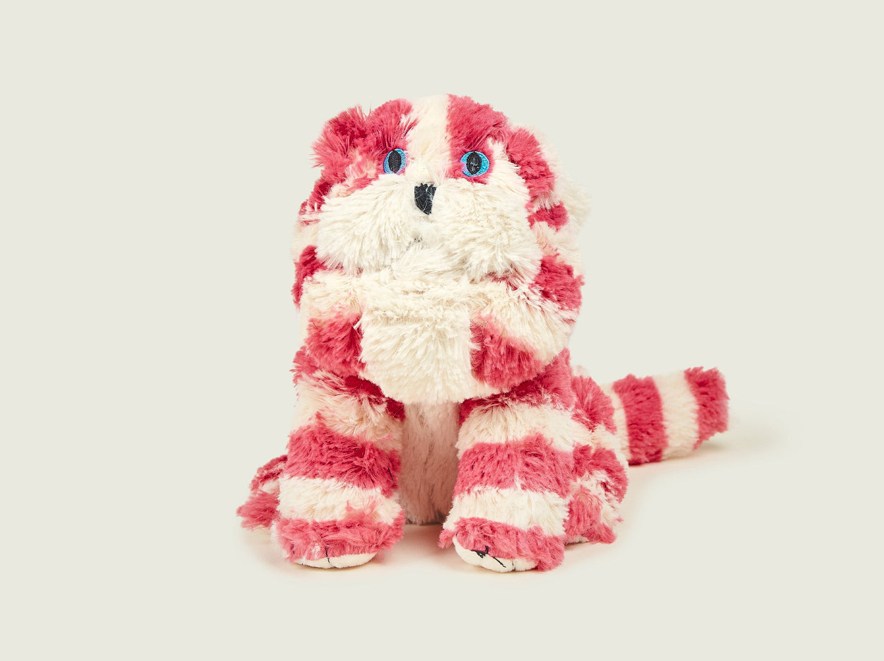 Bagpuss® Cat