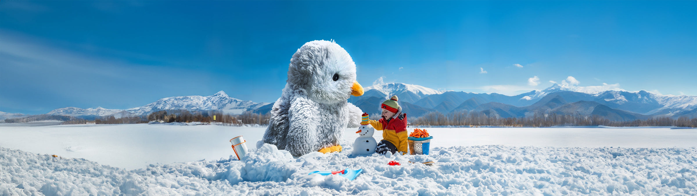 Arctic & Antarctic