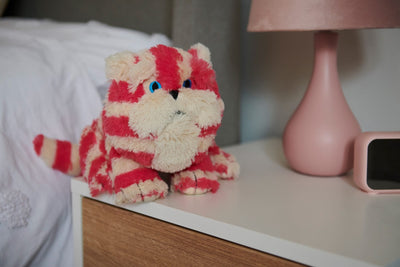 Gatto Bagpuss®