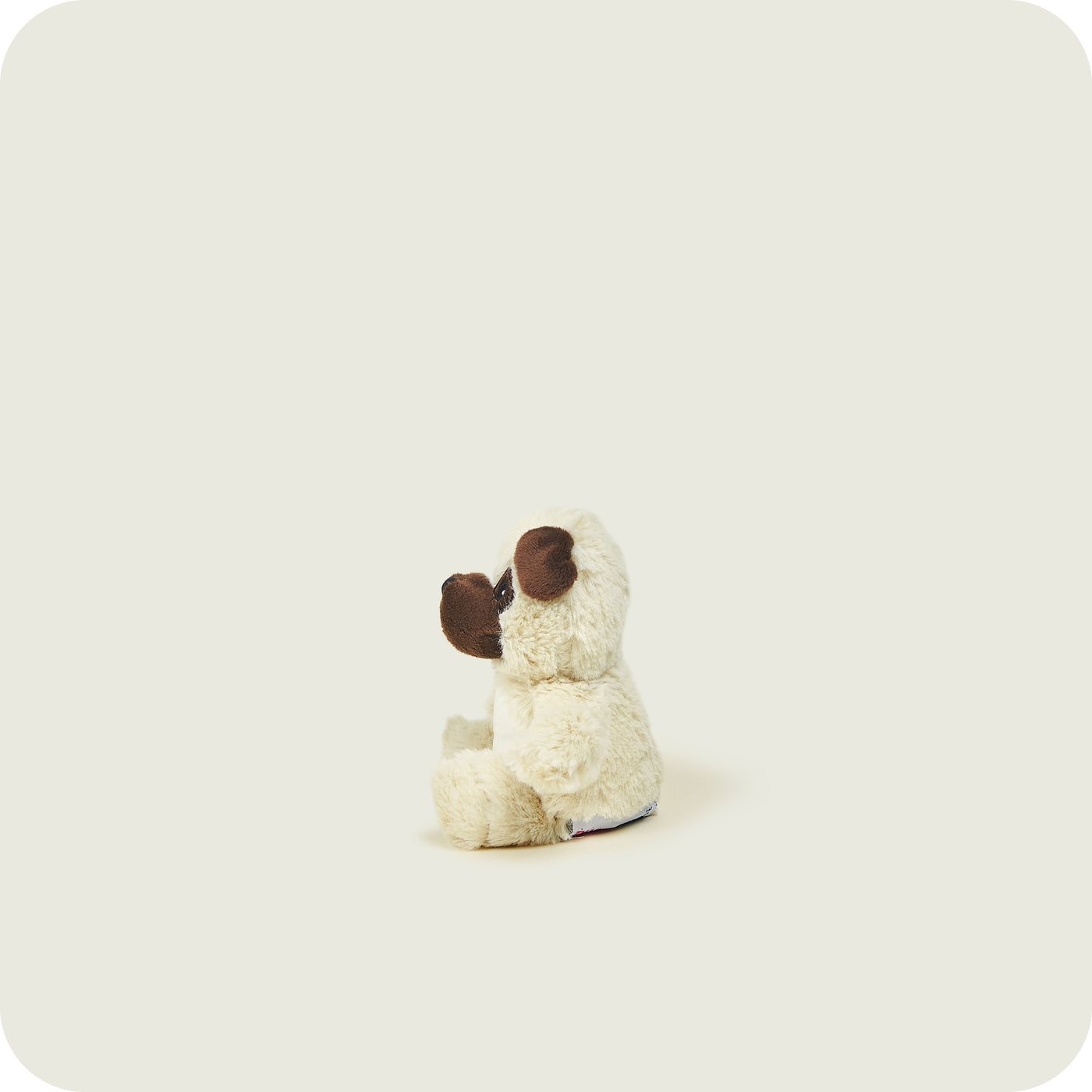 Carlino Dusty Pups™