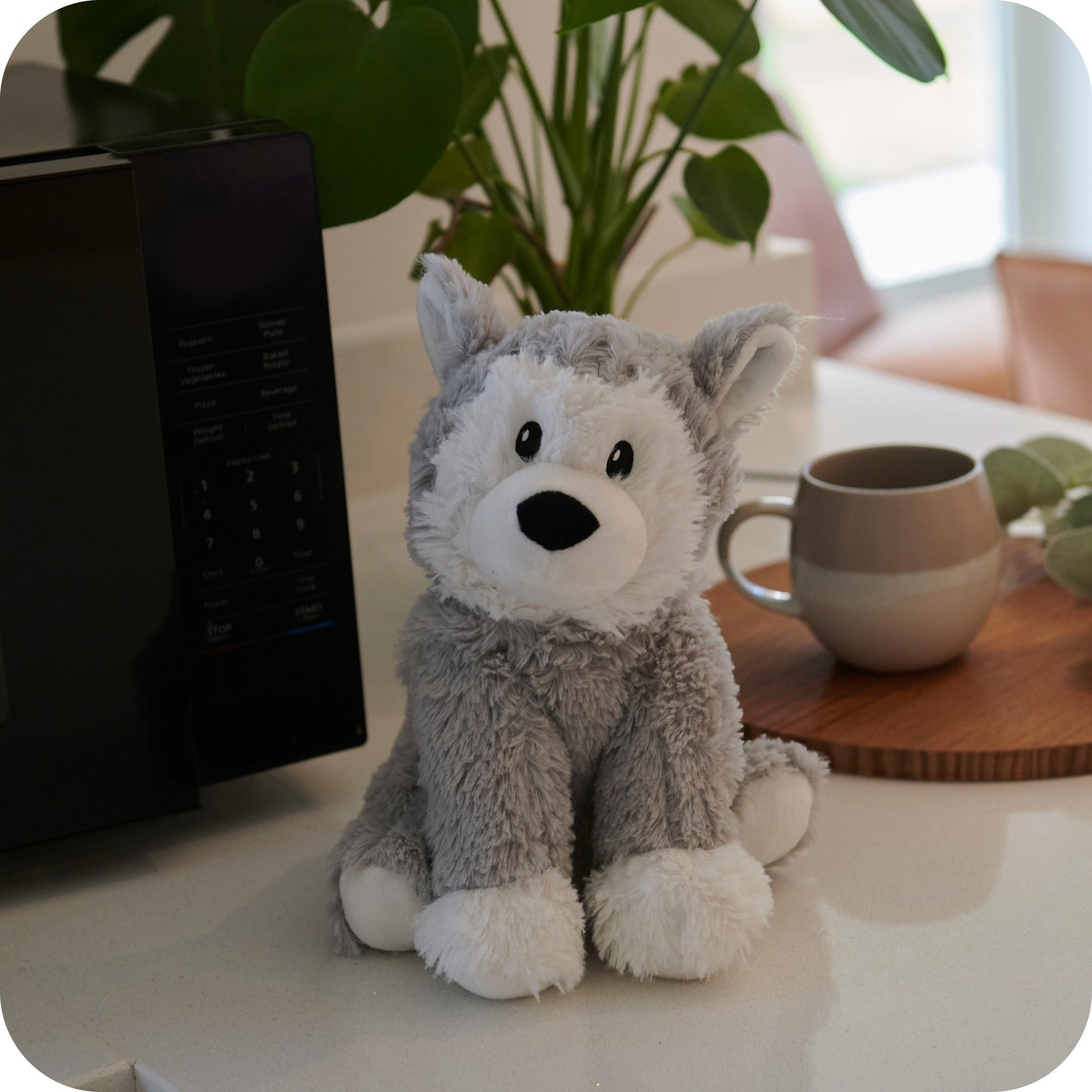 Warmies® Husky